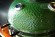 Керамический гриль SG с окошком, 57 см / 22 дюйма (зеленый) (Start Grill) в Сургуте